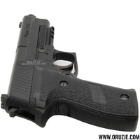 SIG SAUER P226